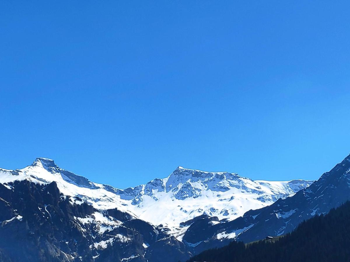 Chuenislodge2- Zwei Balkone, Gemuetlicher Kamin, Top Aussicht 阿德尔博登 外观 照片